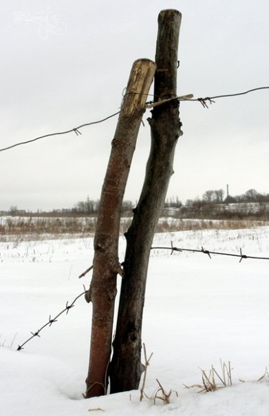 Фотовиставка Тетяни Должко